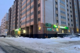 Тамбов, улица Запрудная